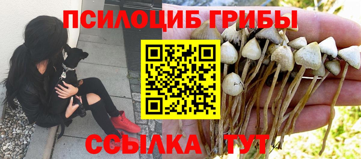 Галлюциногенные грибы ЛСД Кузнецк