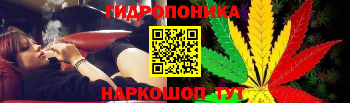 Бошки марихуана планчик  Вход с VPN  Бошки марихуана гибрид  Кузнецк  Каннабис тримм 